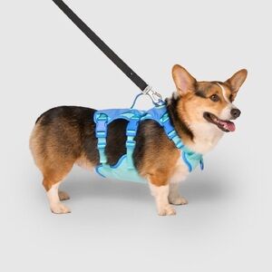 Canada Pooch Max Chill Cooling Blue Dog Harness